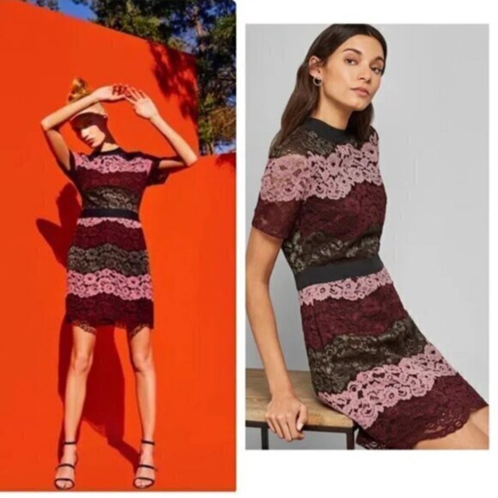 Ted Baker Dress Jaseyy Sheath Mini in Lace Panel Plum